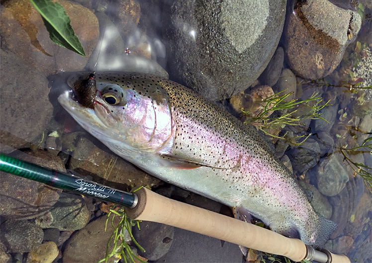 Photo of Micro Spey by Russ Kegler